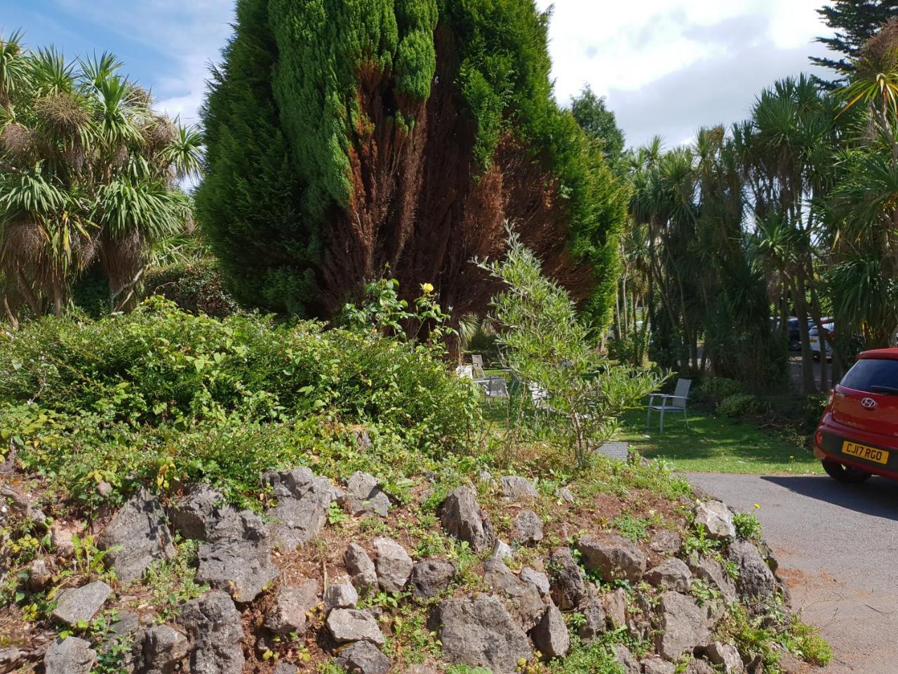 Sherwood Palm Hotel Torquay Buitenkant foto